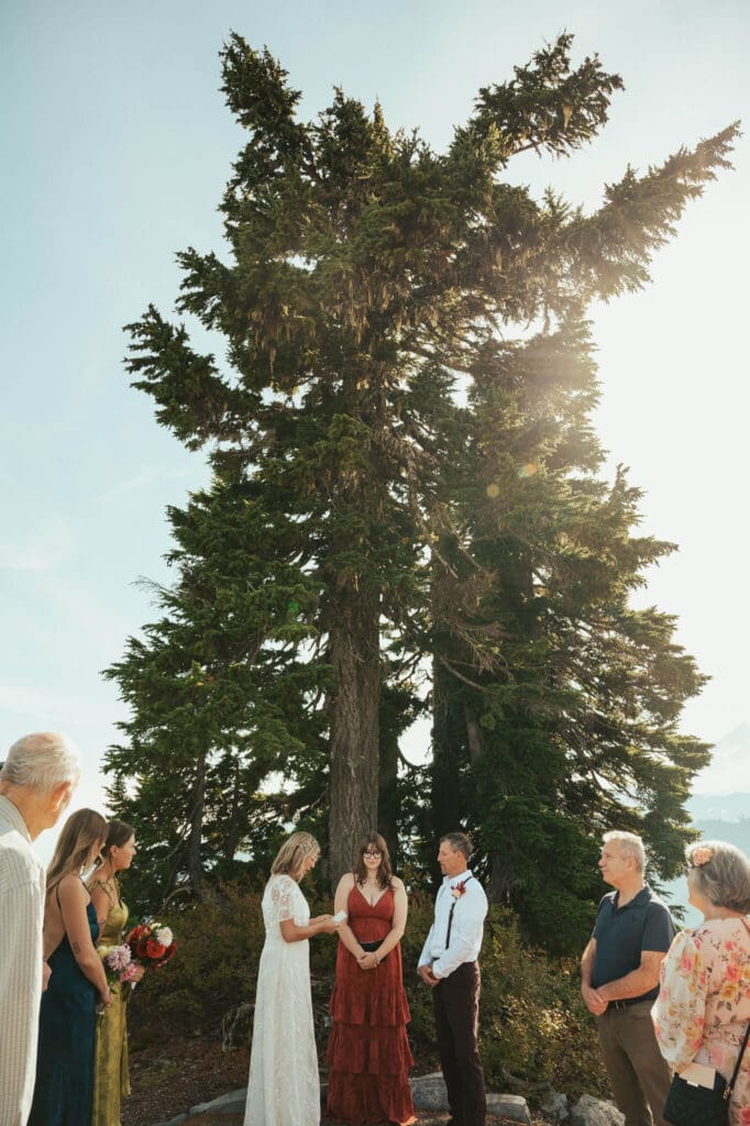 Small elopement ceremony at Artist Point with family and close friends in the North Cascades.