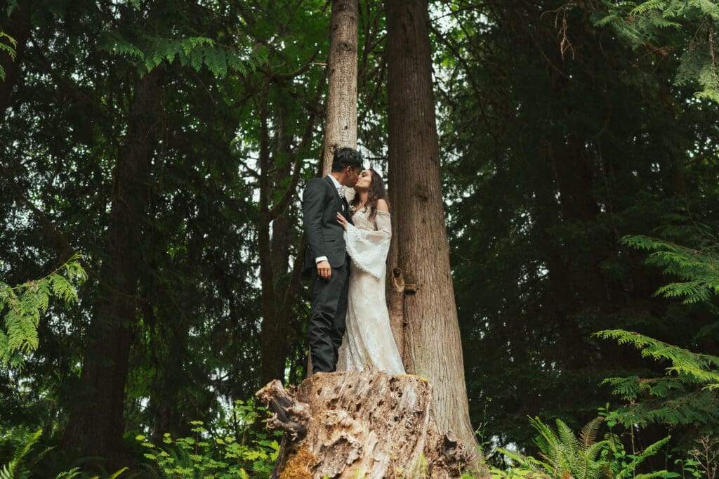 Romantic forest elopement portrait at Artist Point surrounded by towering evergreen trees.
