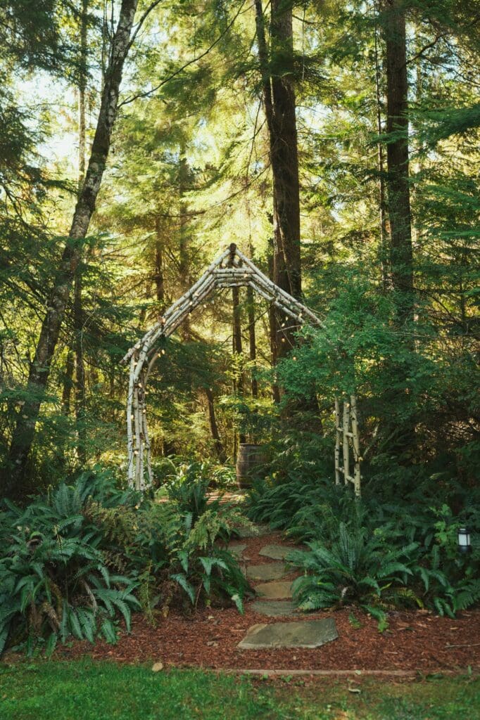 Birch wood ceremony arch surrounded by ferns and towering trees at Woodside Haven wedding venue in Arlington, Washington